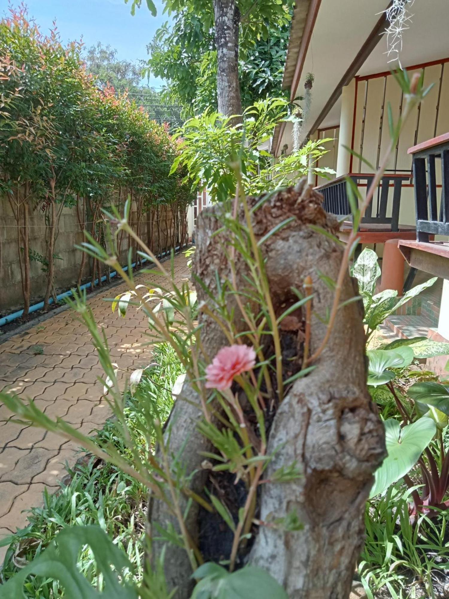 Coworx Koh Lanta Aparthotel Exterior foto